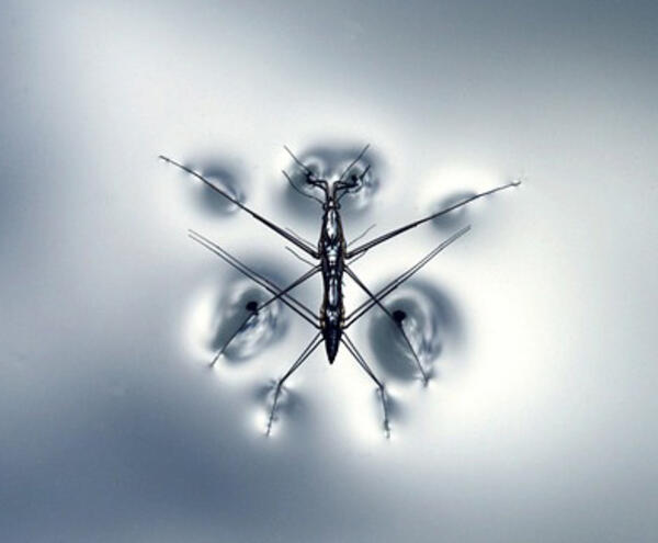 Surface tension measuring